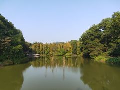 -金山植物公园