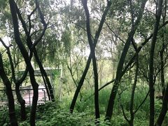 -西湖风景区-江洋畈生态公园