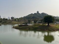 -王借岗森林公园