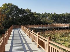 -艾溪湖湿地公园