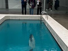 -金泽21世纪美术馆