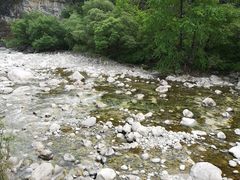 -黑河国家森林公园