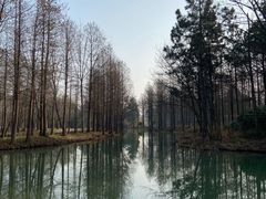 -西溪国家湿地公园