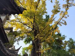 -龙潭水乡