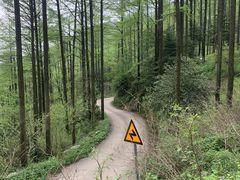-莫干山风景区