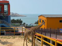 -西霞口神雕山野生动物世界