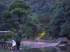 -四明山国家森林公园