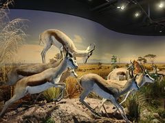 -武汉园博园(武汉自然博物馆)