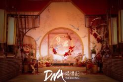 -DNA Wedding 婚礼记(上海店)