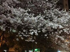-玛格萝妮比萨屋(四平店)