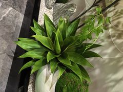 -澜悦汇推拿足道(蓝村路店)