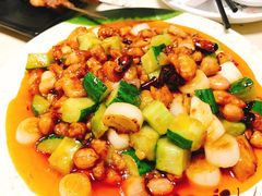 -马黑哥椒麻鸡(清江山水店)