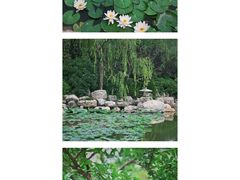 -西安华清御汤酒店