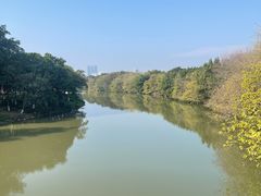 -海珠湖公园