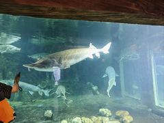 -华夏文旅海洋公园