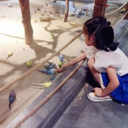 -酷嗒动物文化乐园(cutezoo西溪乐天城店)