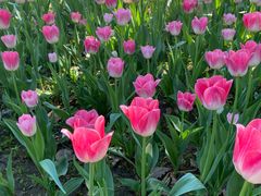 -长春公园(普阳街道)