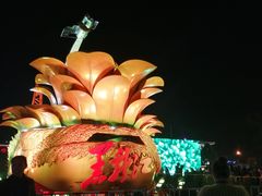 -人民防洪胜利纪念塔