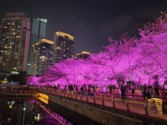 -西北湖绿化广场