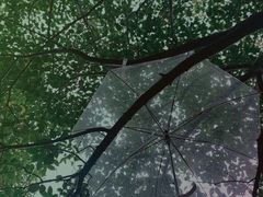 -洨河生态公园