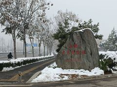 -洛阳古墓博物馆