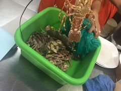 -班赞海鲜市场