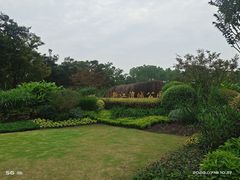 -新江湾城公园