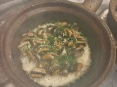 -红星光发煲仔饭(大石街店)