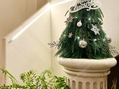 -伊斯坦布尔土耳其清真咖啡餐厅