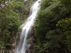 -九龙江国家森林公园