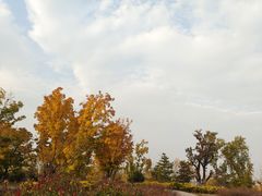 -汉长安城未央宫国家考古遗址公园