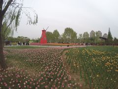 -廊坊文化艺术中心