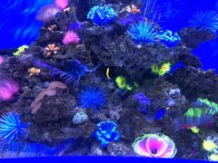 -成都浩海立方海洋公园