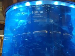 -佛山希尔顿酒店·融誉亚洲美食荟