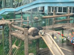 -大连森林动物园