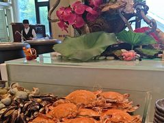 -鲤鱼洲酒店港鲤咖啡厅