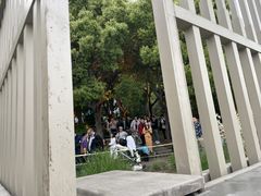 -上海港国际客运中心