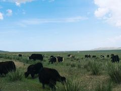 -青海湖国家重点风景名胜区