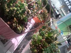 -KKV(深圳宏发大仟里店)