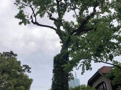 -思南公馆