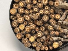 -中国宋庆龄青少年科技文化交流中心