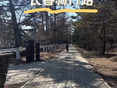 -长春市南湖公园