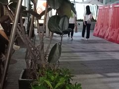 -BeauTea水仙(coco park店)