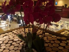 -广州花园酒店