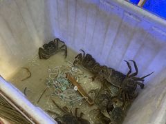 -蟹状元大闸蟹·年货·粽子(成都成华店)