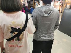 -新五爱道夜市