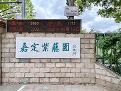-嘉定紫藤园