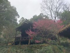 -黄公望隐居地