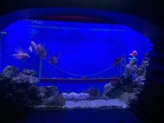 -太平洋海底世界