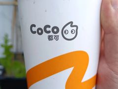芋圆奶茶-CoCo都可(常德路店)